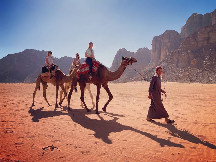 Guests riding camels led by a Bedouin guide
